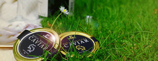 Perfect Summer Picnics