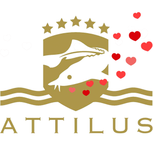 Attilus Caviar